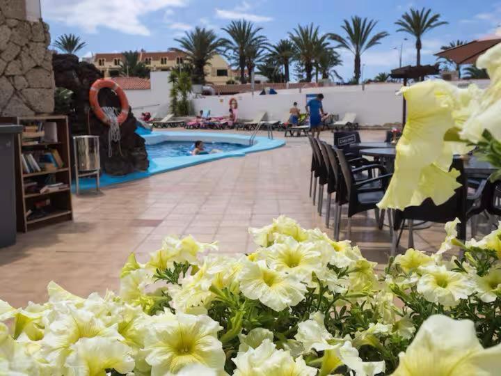 Apartment In Playa De Las Americas 1 外观 照片